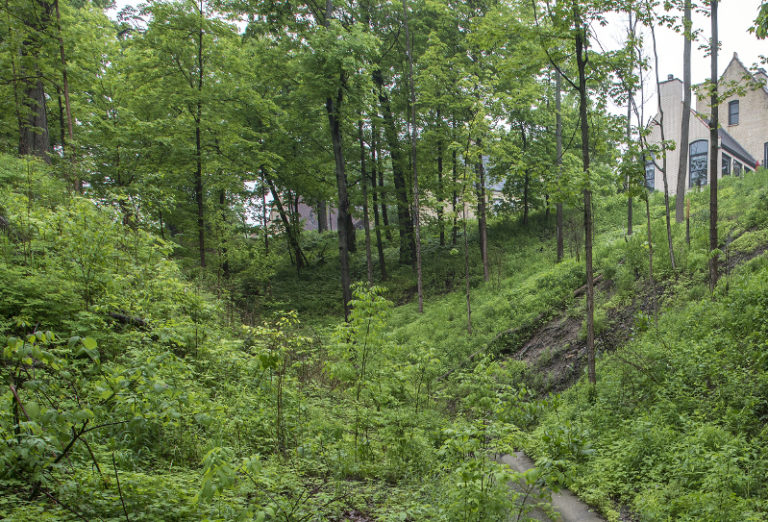 Imperiled ravines focus of community Alliance for the Great Lakes