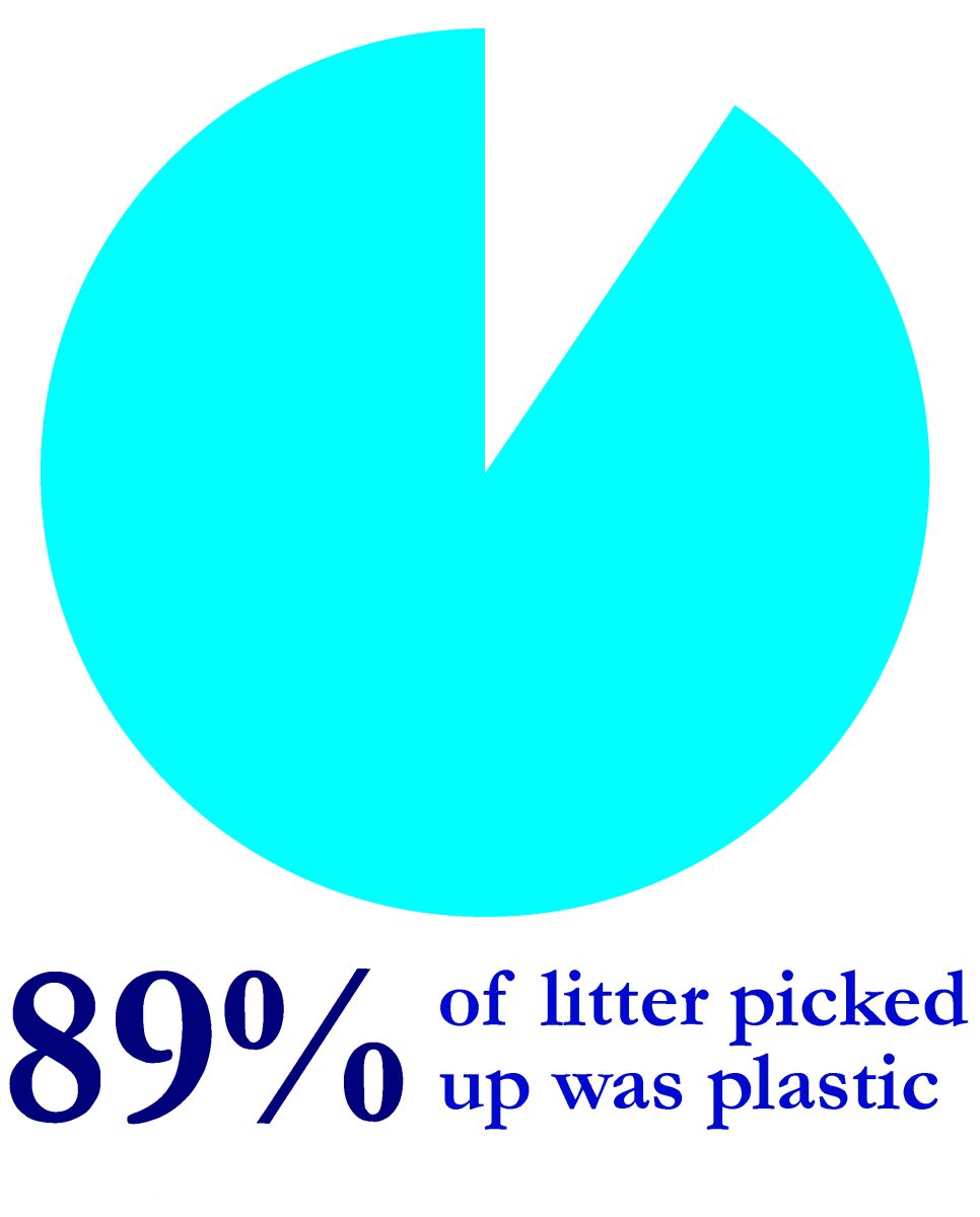 89% of litter picked up from Great Lakes beaches in 2017 was made of plastic.