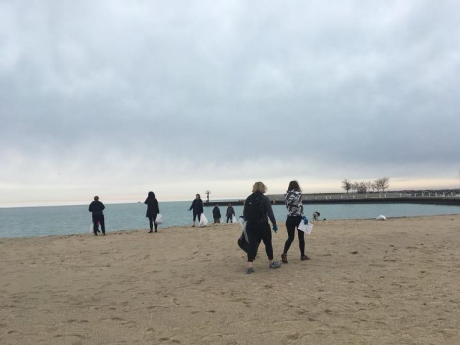 Volunteers scour the beach for litter and plastic pollution.