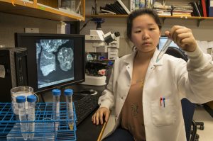 A researcher examines a test tube containing microplastics.