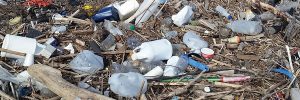 Great Lakes Plastic Pollution - Alliance For The Great Lakes