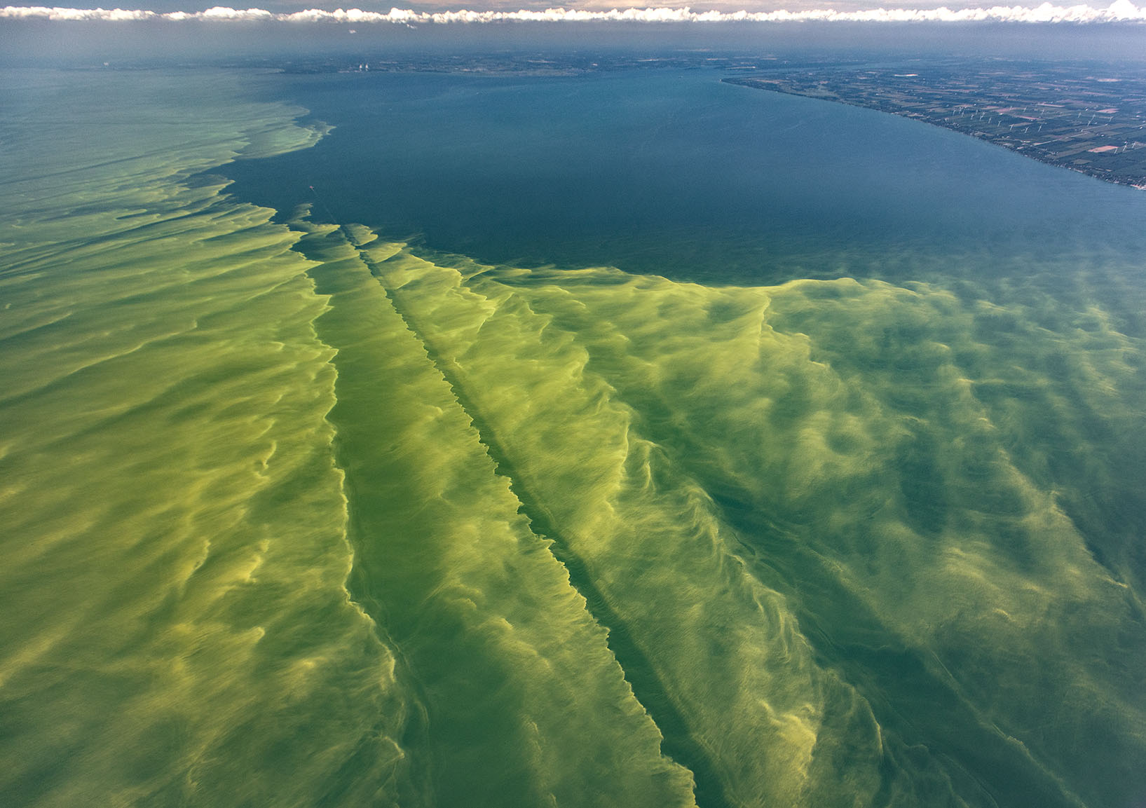 Lake Erie Algae Blooms Polluting Our Drinking Water Alliance For The Great Lakes
