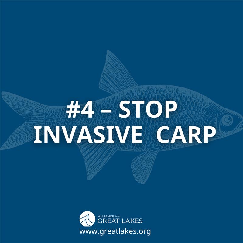 #4 - Stop Invasive Carp