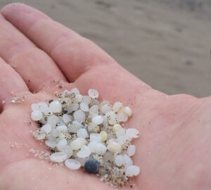 A hand holding tiny plastic nurdles