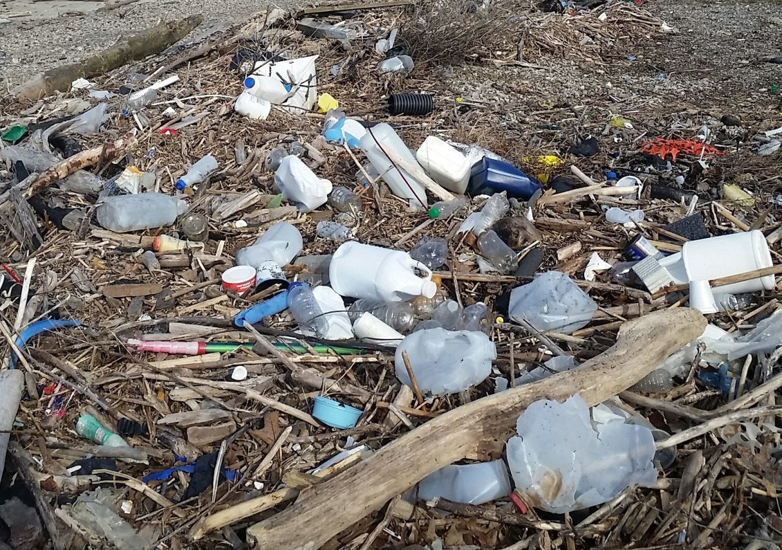 Plastic pollution on a Great Lakes beach