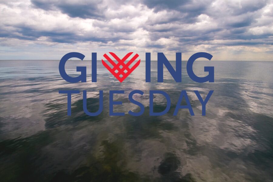 Giving Tuesday