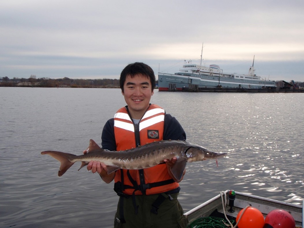 A graduate student with Annis Water Resources Institute at Grand Valley State University holds a lake sturgeon found in Muskegon Lake.